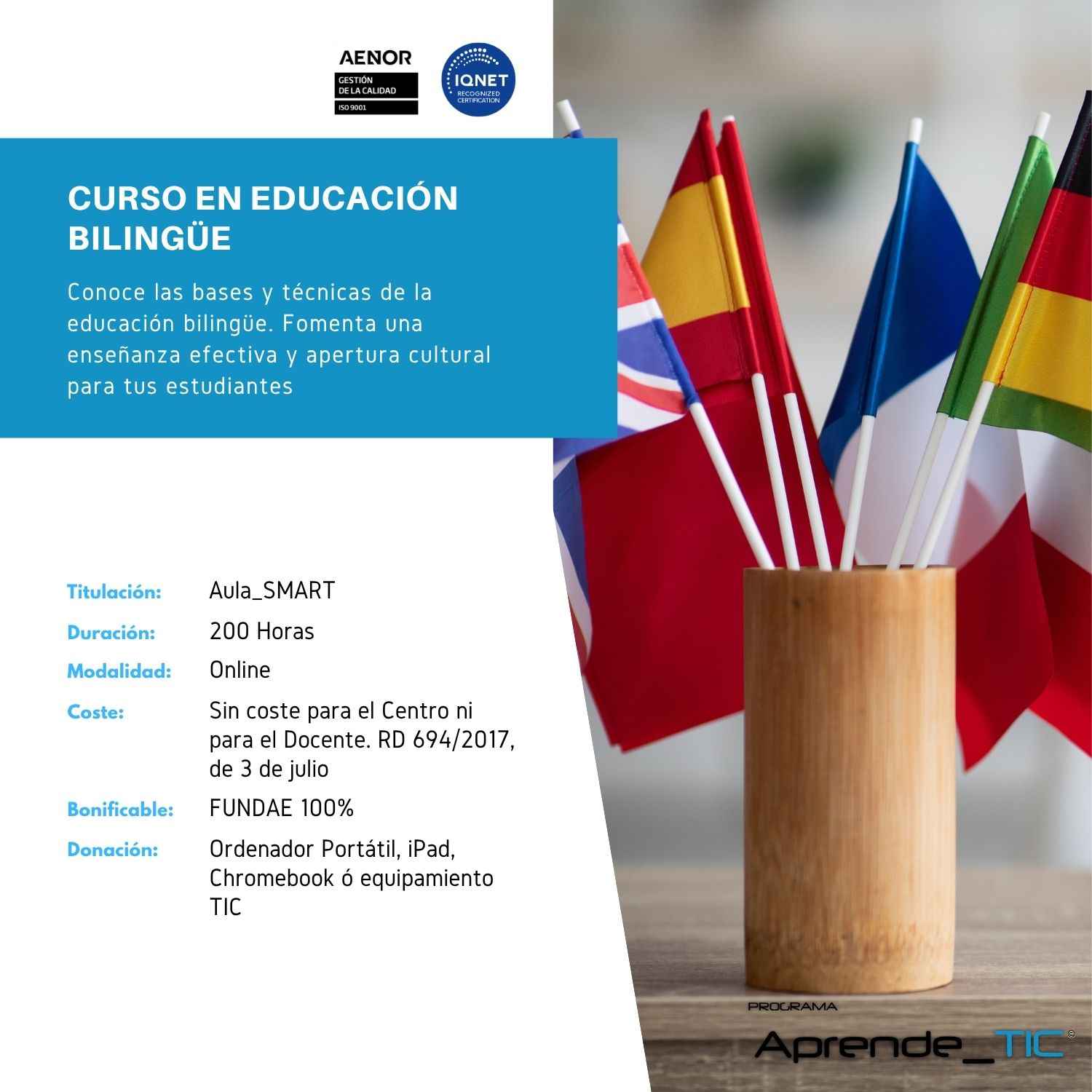 Curso en Educación Bilingüe