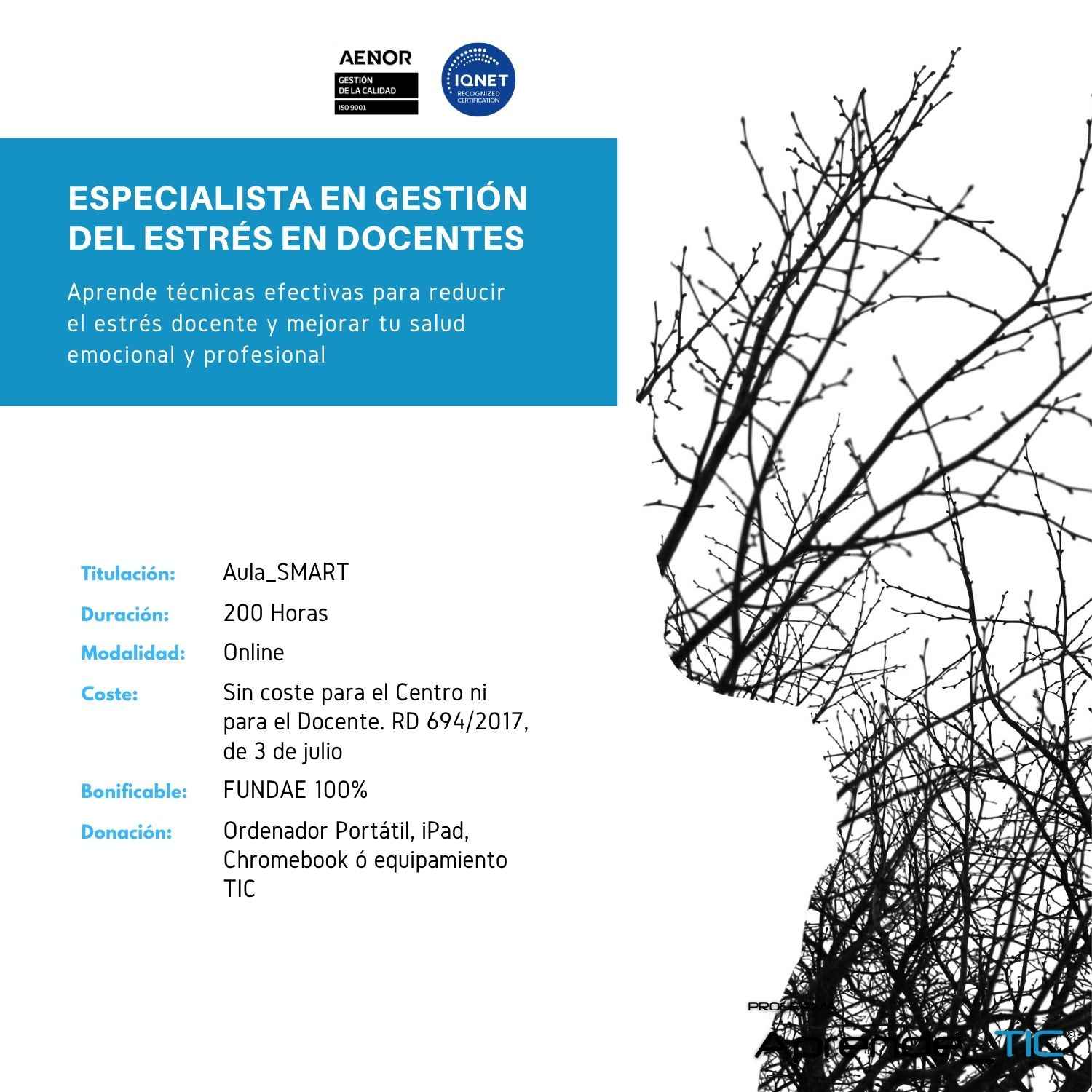 Especialista en Gestión del Estrés en Docentes