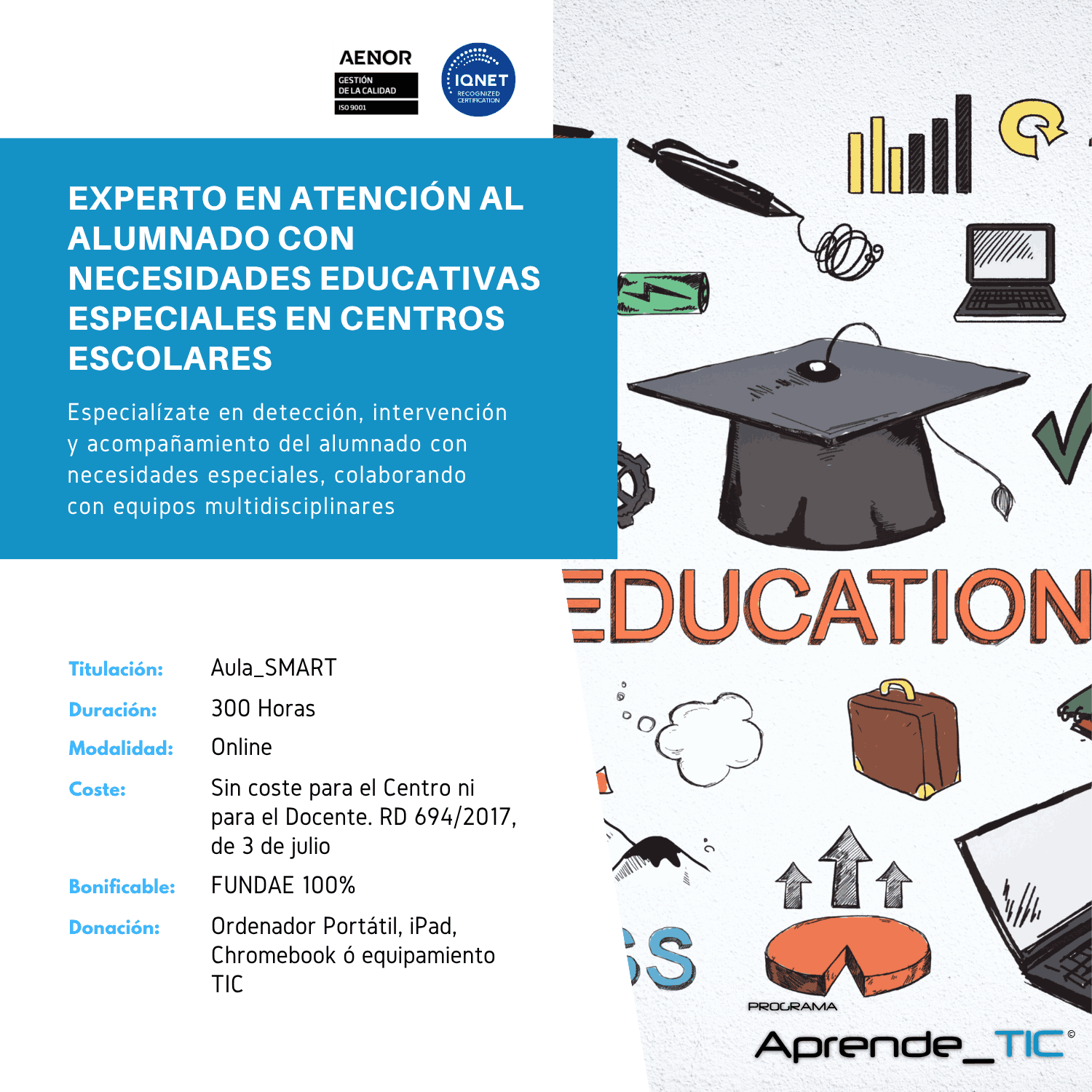 Experto en Atención al Alumnado con Necesidades Educativas Especiales en Centros Escolares