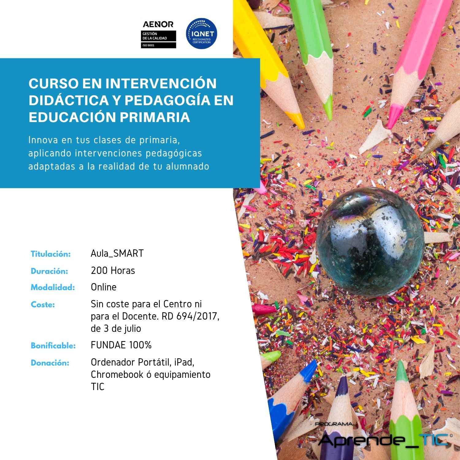 Curso en Intervención Didáctica y Pedagogía en Educación Primaria