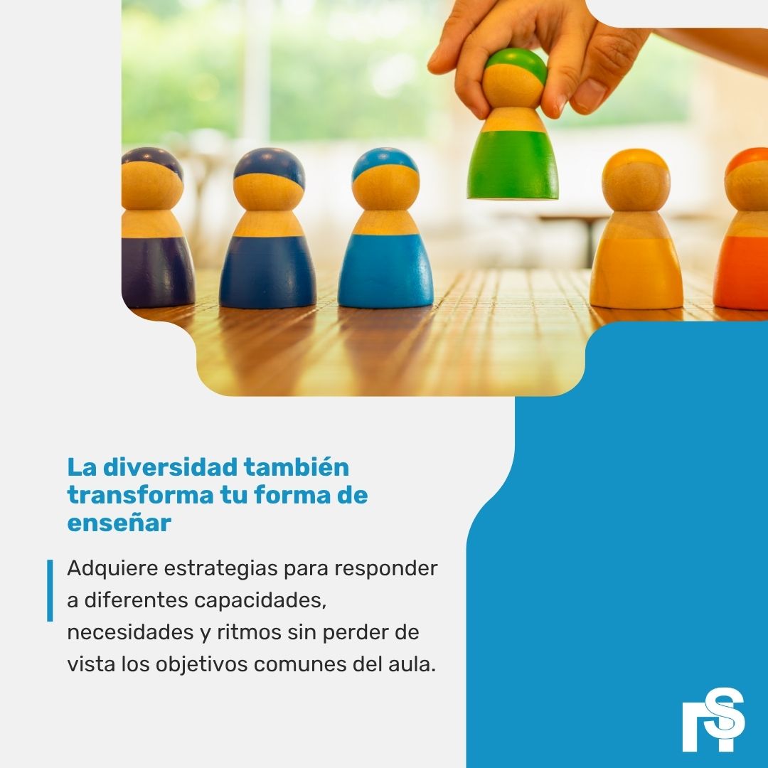 Adaptació de continguts educatius per a alumnat amb necessitats educatives especials (NEE)