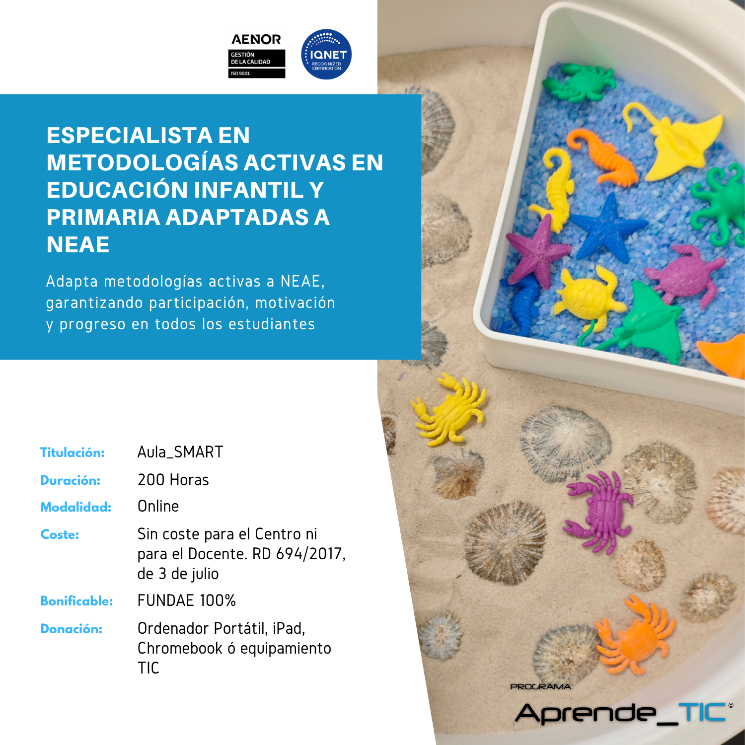 Especialista en Metodologías Activas en Educación Infantil y Primaria Adaptadas a NEAE