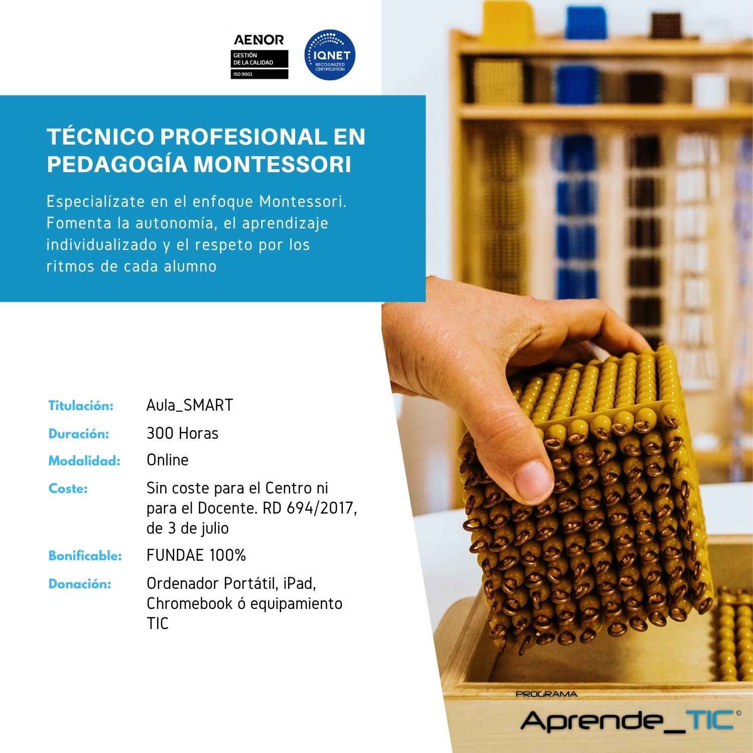 Técnico Profesional en Pedagogía Montessori